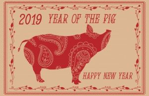 Year of the pig logo